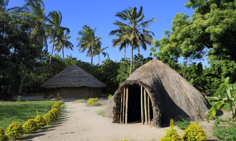 Village Museum